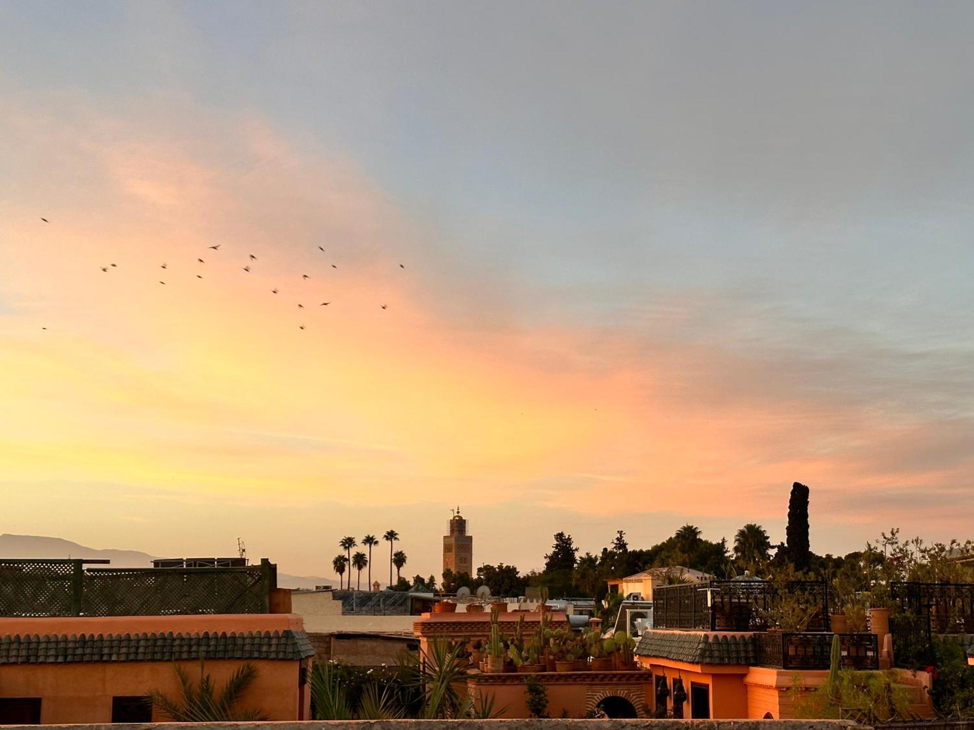 Belharra * Marrakesch